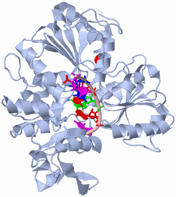 Image Biological Unit 1