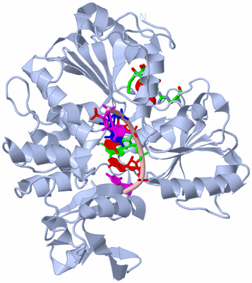 Image Biol. Unit 1 - sites