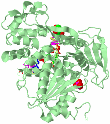 Image Biological Unit 2