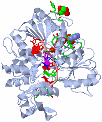 Image Biol. Unit 1 - sites