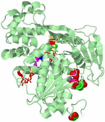 Image Biological Unit 2