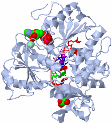 Image Biological Unit 1