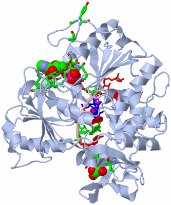 Image Biol. Unit 1 - sites