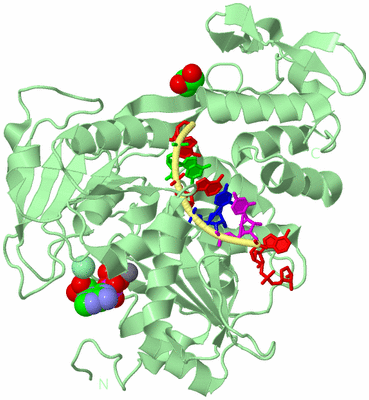 Image Biological Unit 2