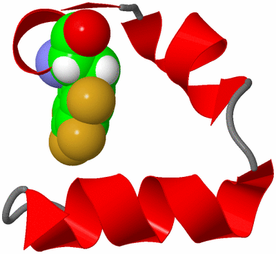 Image NMR Structure - model 1