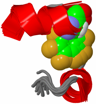 Image NMR Structure - all models