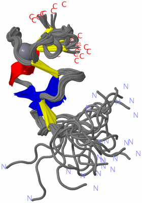 Image NMR Structure - all models