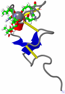 Image NMR Structure - model 1, sites