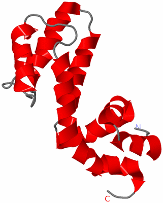 Image NMR Structure - model 1