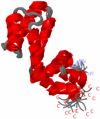 Image NMR Structure - all models