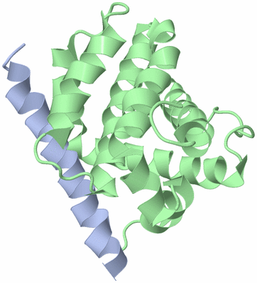 Image NMR Structure - model 1