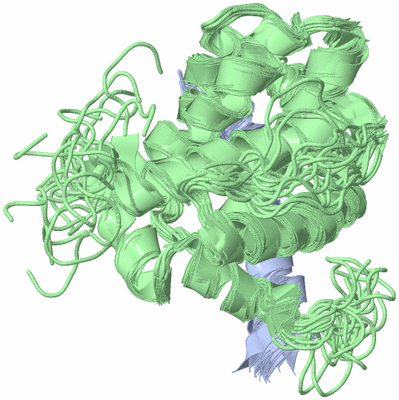 Image NMR Structure - all models