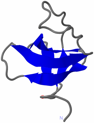 Image NMR Structure - model 1