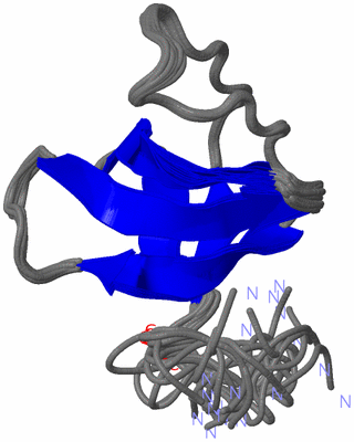 Image NMR Structure - all models