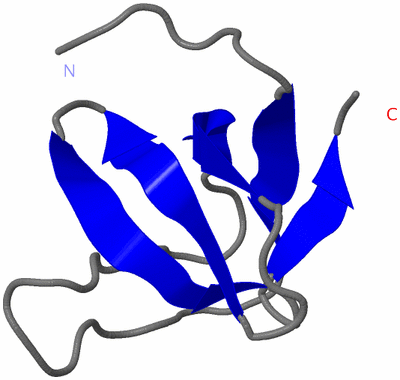 Image NMR Structure - model 1