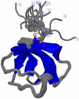 Image NMR Structure - all models