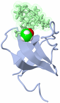 Image NMR Structure - model 1