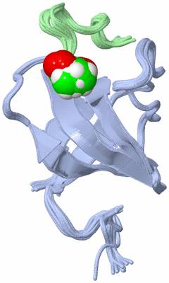 Image NMR Structure - all models