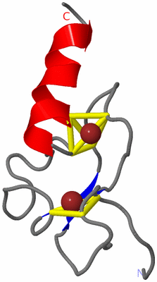 Image NMR Structure - model 1