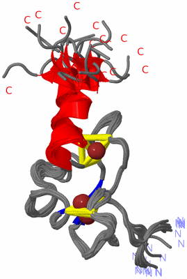 Image NMR Structure - all models