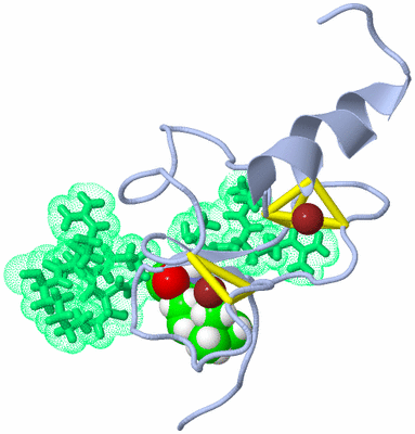 Image NMR Structure - model 1