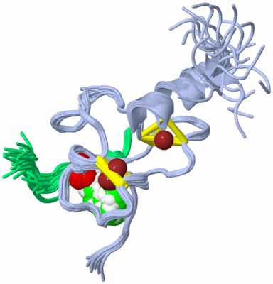 Image NMR Structure - all models