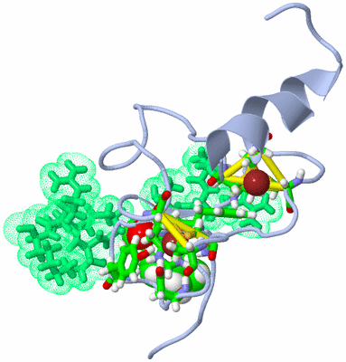 Image NMR Structure - model 1, sites