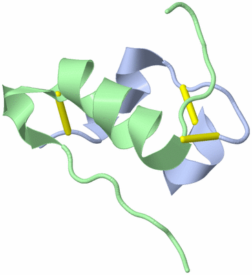 Image NMR Structure - model 1