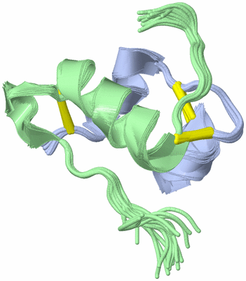 Image NMR Structure - all models