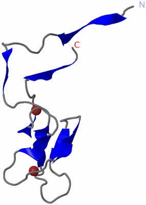 Image NMR Structure - model 1