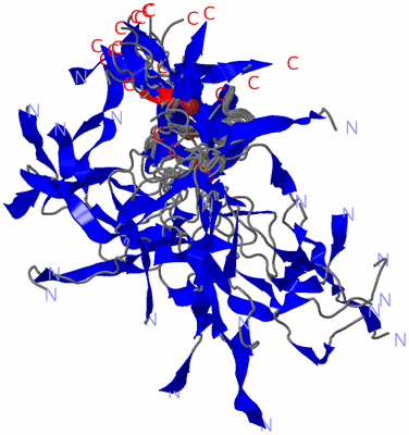 Image NMR Structure - all models