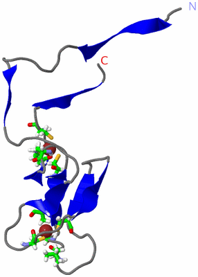 Image NMR Structure - model 1, sites