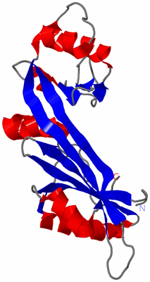 Image NMR Structure - model 1