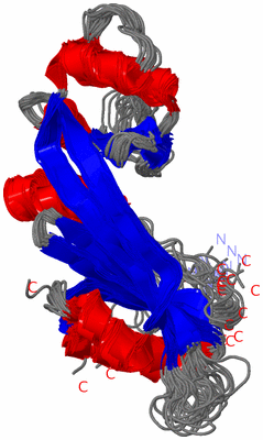 Image NMR Structure - all models