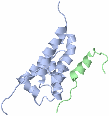 Image NMR Structure - model 1