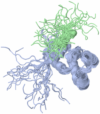 Image NMR Structure - all models