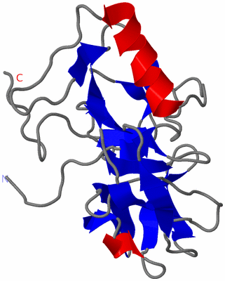 Image NMR Structure - model 1
