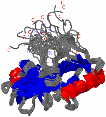 Image NMR Structure - all models