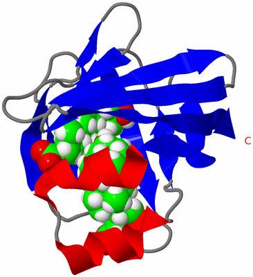 Image NMR Structure - model 1