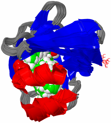 Image NMR Structure - all models