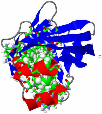 Image NMR Structure - model 1, sites