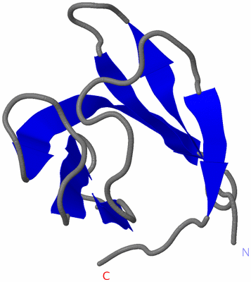 Image NMR Structure - model 1