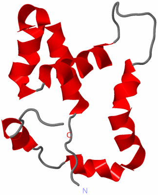 Image NMR Structure - model 1