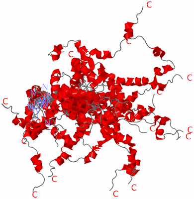 Image NMR Structure - all models