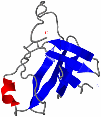 Image NMR Structure - model 1