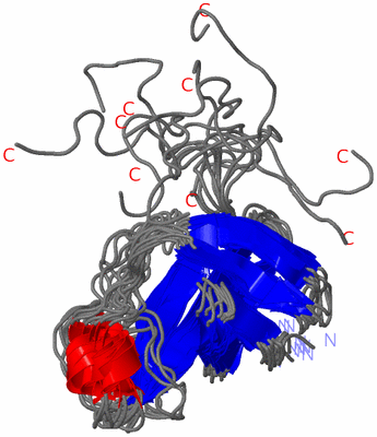 Image NMR Structure - all models