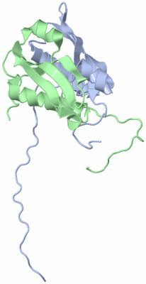 Image NMR Structure - model 1