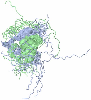 Image NMR Structure - all models