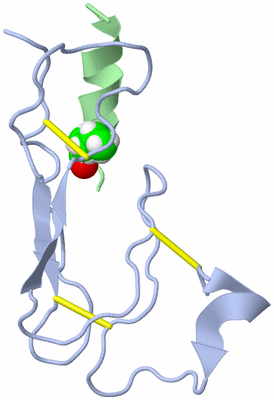 Image NMR Structure - model 1