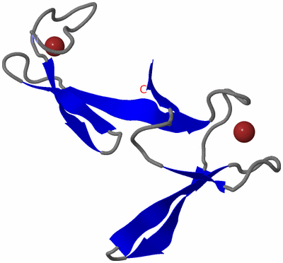 Image NMR Structure - model 1